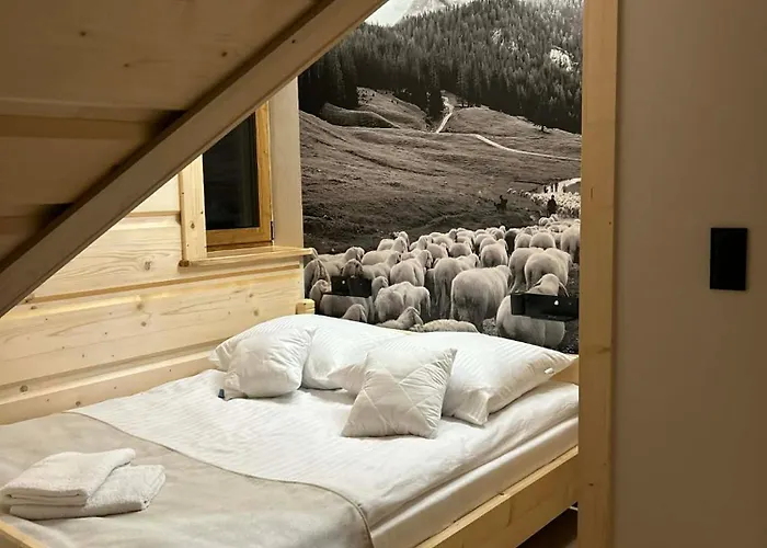 U Sabaly * 乔乔洛